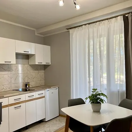 Saulgriezes Apartment